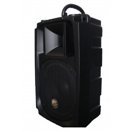 L-Audio NG-8A Активная акустическая система