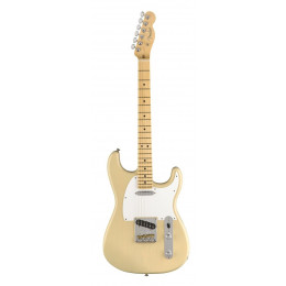 Fender WHITEGUARD STRATOCASTER MN VBL Электрогитара