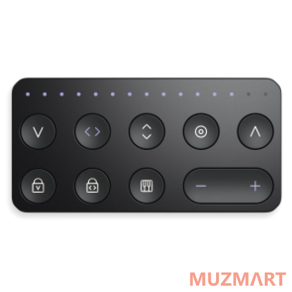 ROLI BLOCKS Touch Block Компактный модуль для работы с Lightpad и Seaboard BLOCK