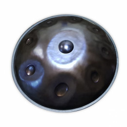 Handpan Overtone OHP-BPS-53-CELT-Dm+case Хендпан (Handpan)