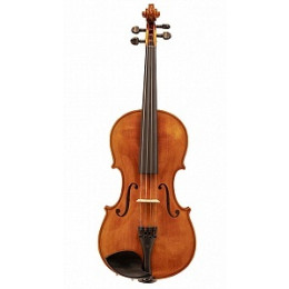 Strunal 920A-1/2 Ravena Скрипка студенческая 1/2