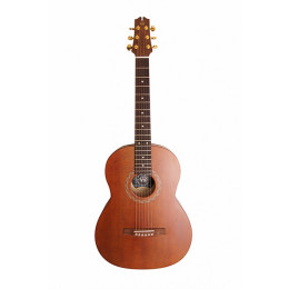 NewTone N17GASDBCE №17 Электро-акустическая гитара