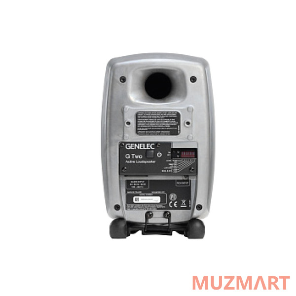 Genelec G Two BRwM активная 2-полосная АС