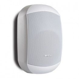 Biamp Apart MASK6СT-W Акустика всепогодная трансляционная