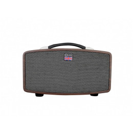 Carlsbro STINGRAY D5 Цифровой гитарный усилитель