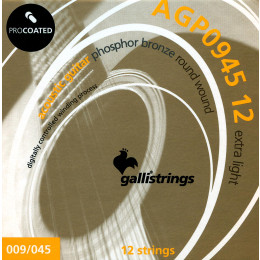 Galli Strings AGP0945-12 струны для 12-струнной акустической гитары