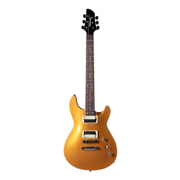 Fernandes Guitars APG STD 16 VGT Электрогитара