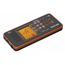 Tascam PT-7 Электронный репетитор/тюнер для вокалистов и акустических инструментов