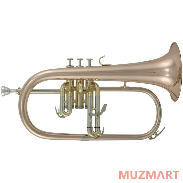 Roy Benson FH-302G Флюгельгорн Bb