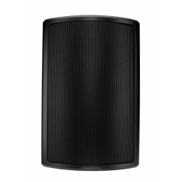 Tannoy AMS 5DC Пассивная акустическая система