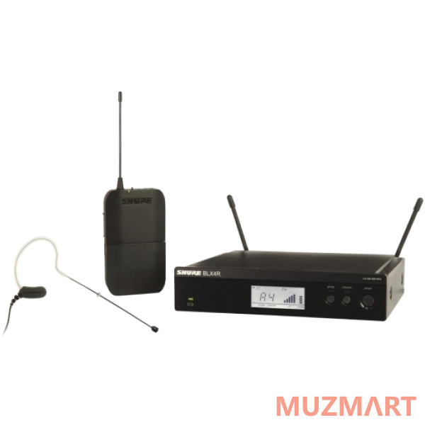 Shure BLX14RE/MX53 M17 Радиосистема головная с микрофоном