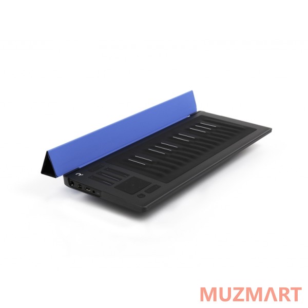 ROLI FLIPCASE SKY Защитный кейс для RISE 25