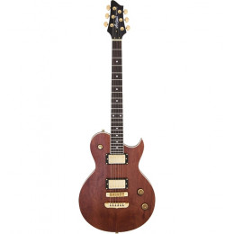 Aria PE-TR-1 G Электрогитара